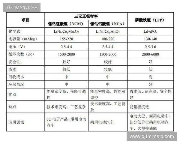 云顶集团简介与发展历程全面解析，带你了解其行业地位与核心业务