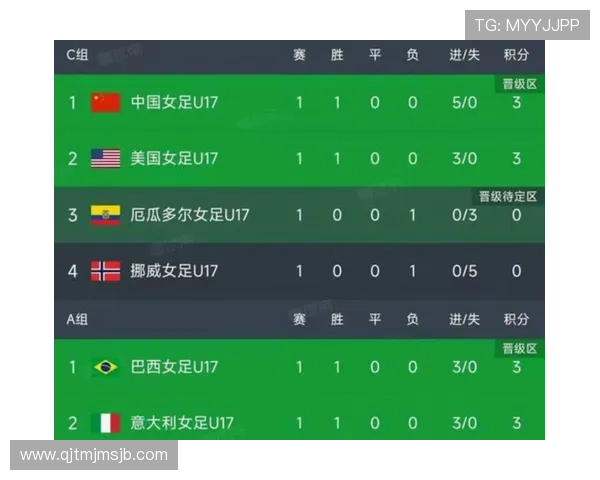 全面解读世界杯预选赛积分榜变化趋势帮助球迷预测晋级概率