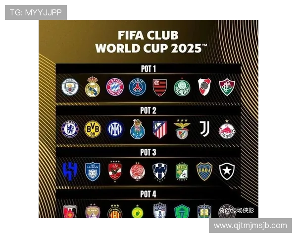 足球世界杯参赛国家名单及晋级情况分析助你了解各队实力对比