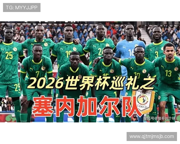 世界杯法国对塞内加尔比赛中防守能力的战术分析及关键防守球员的表现亮点